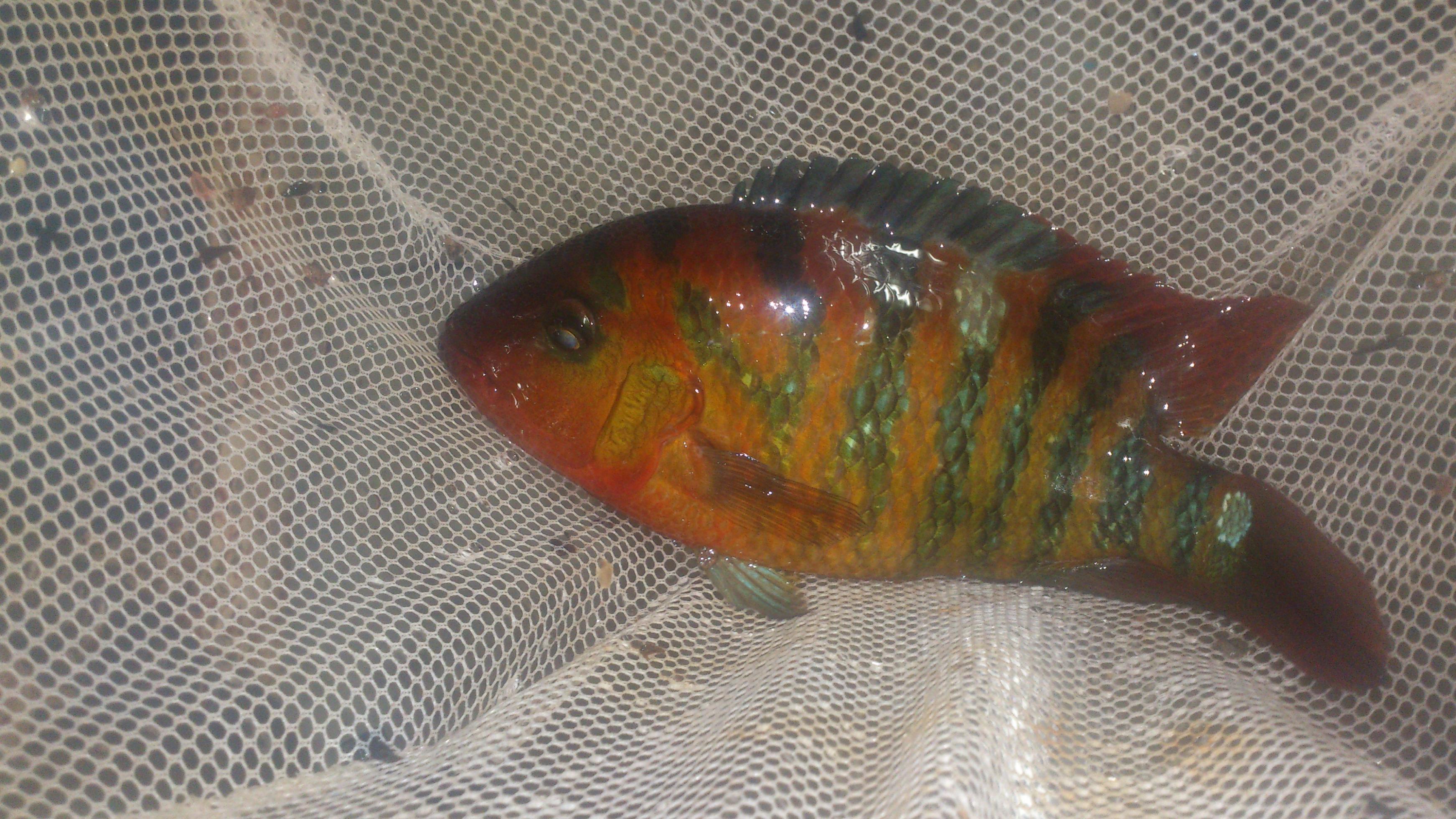 DSC_0006.jpg