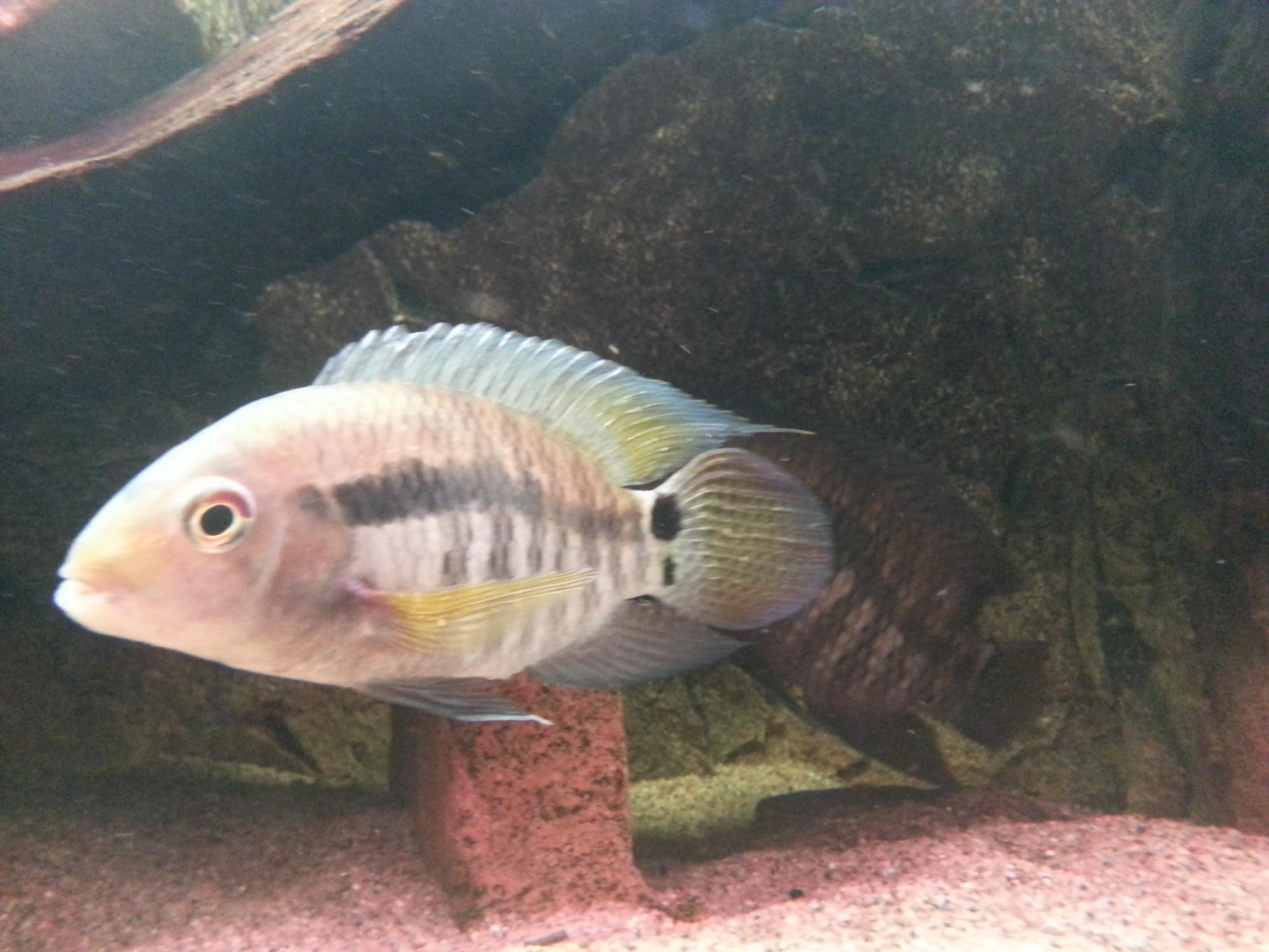 20150423_091513.jpg