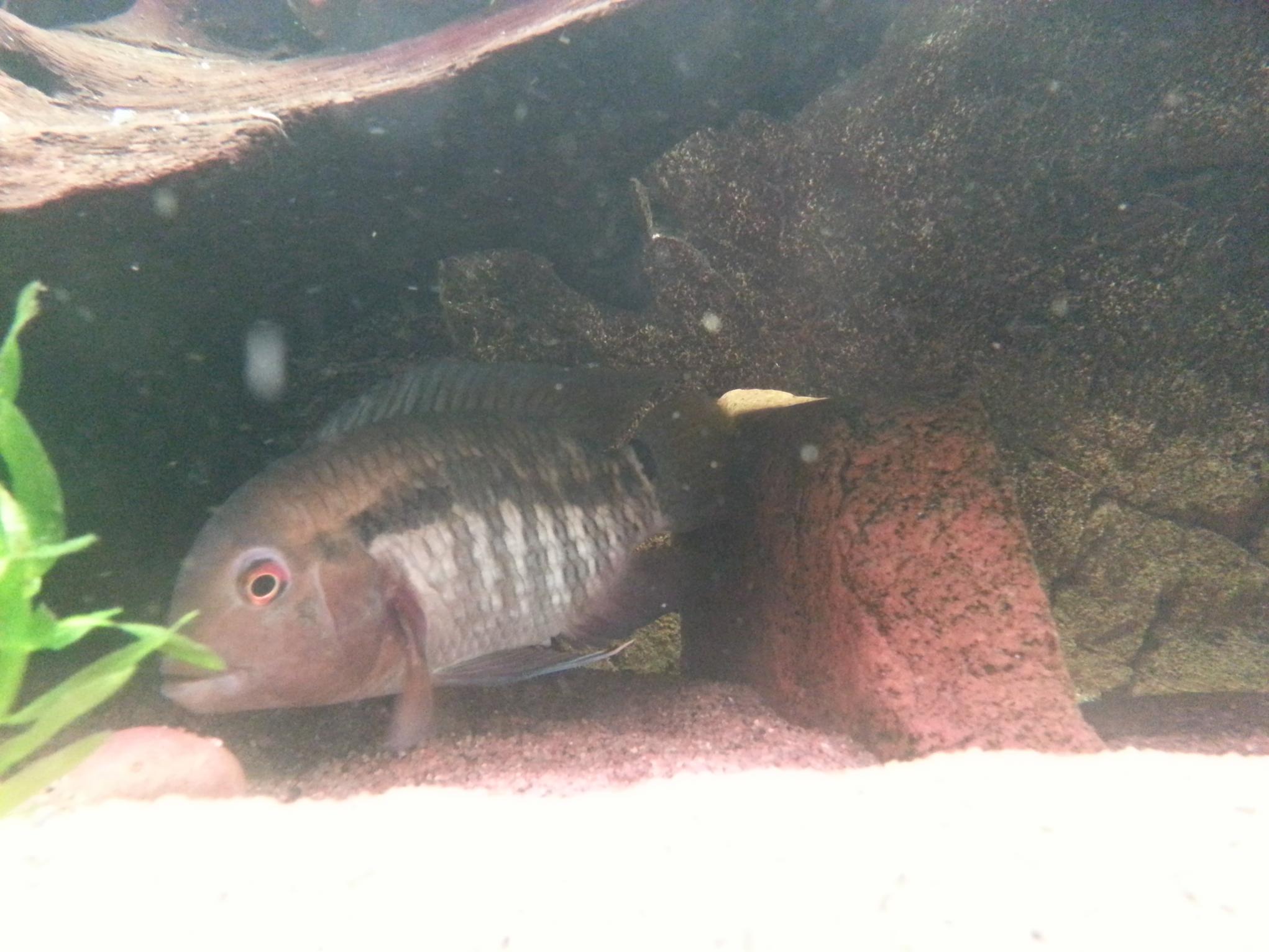 20150423_091247.jpg