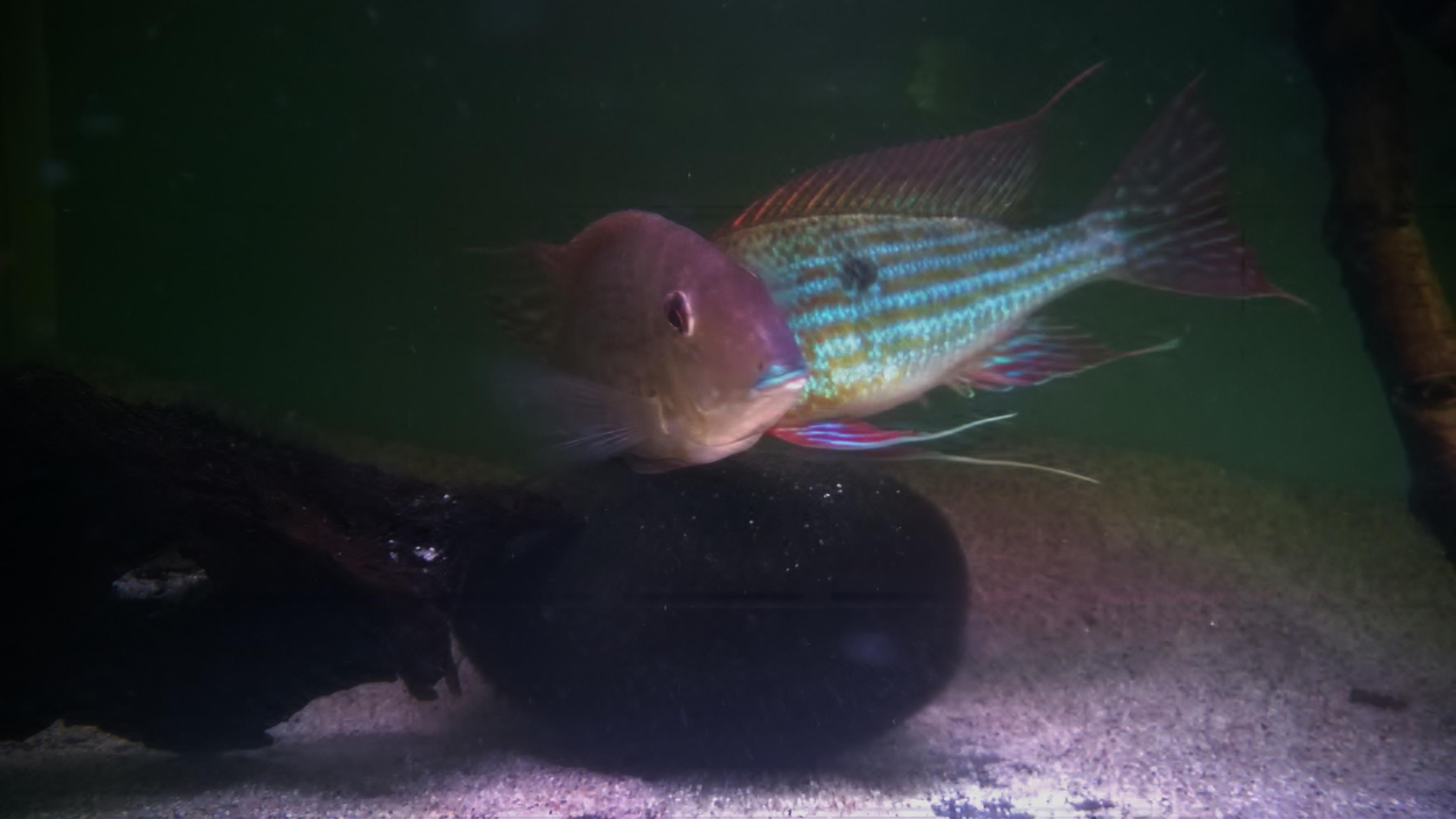 WP_20160130_010.jpg