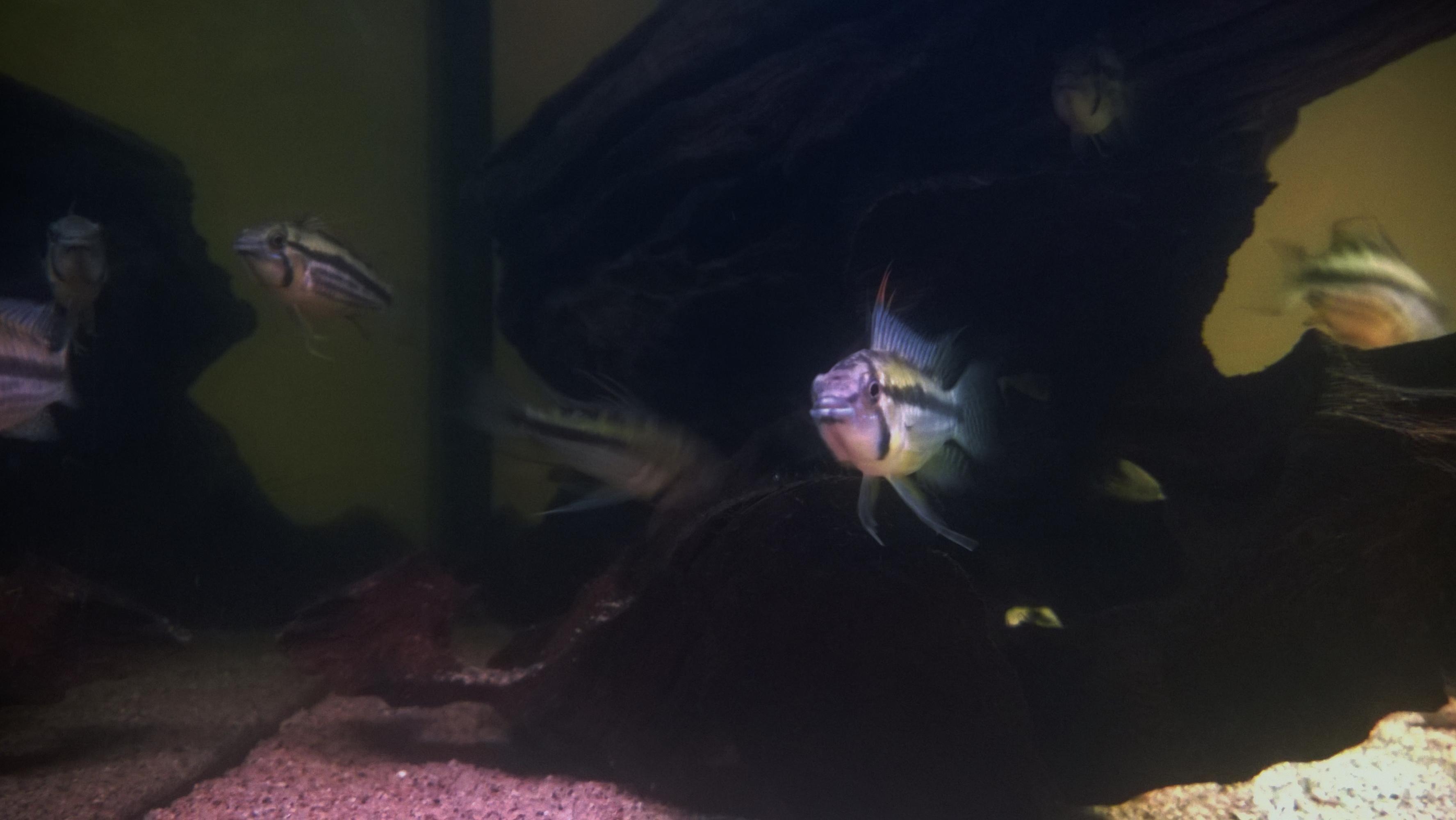 WP_20160202_018.jpg