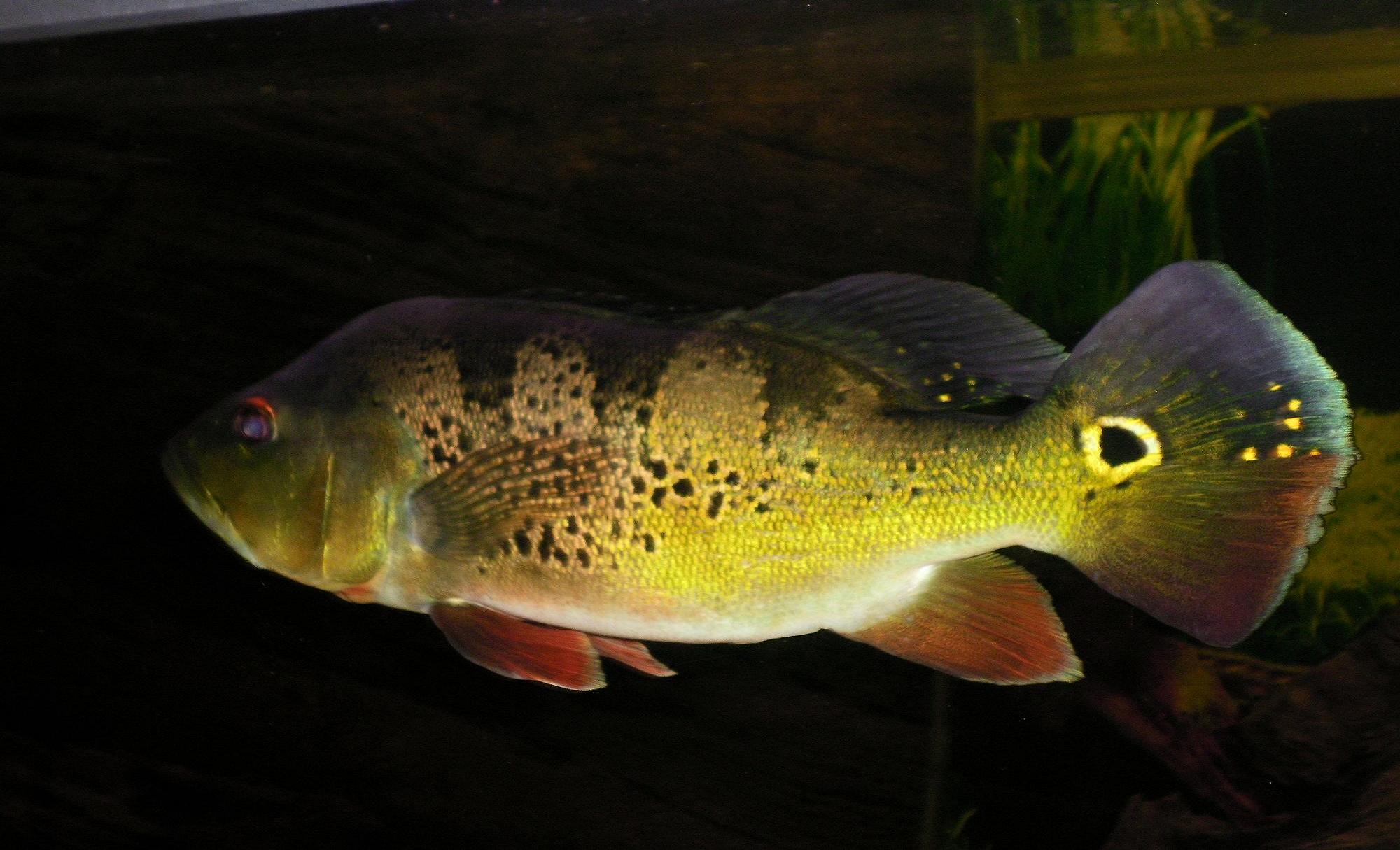 SANY0017.JPG