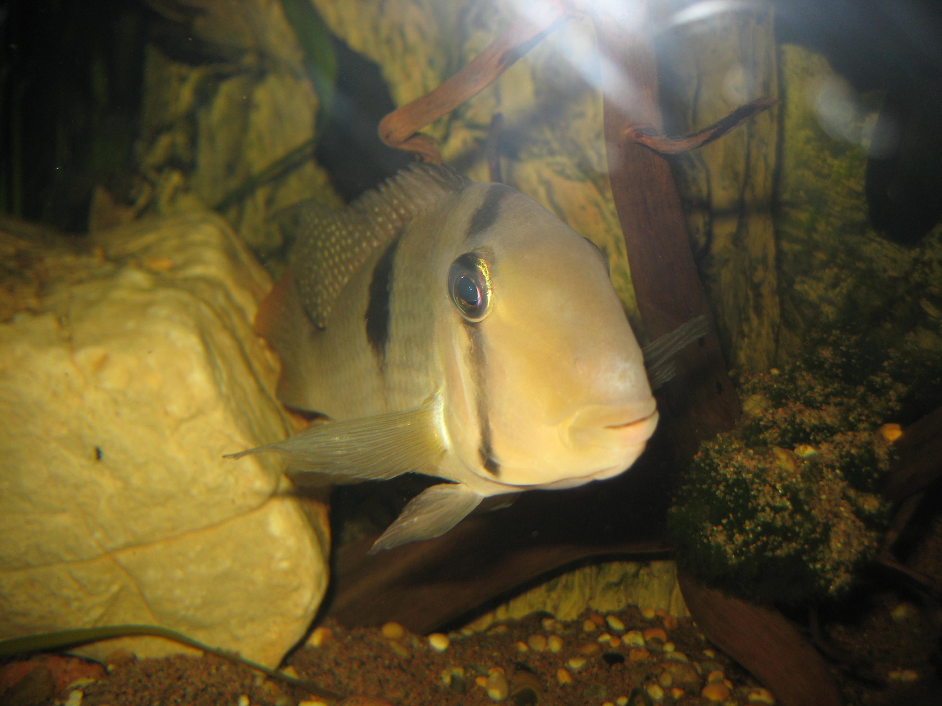 IMG_2290.jpg