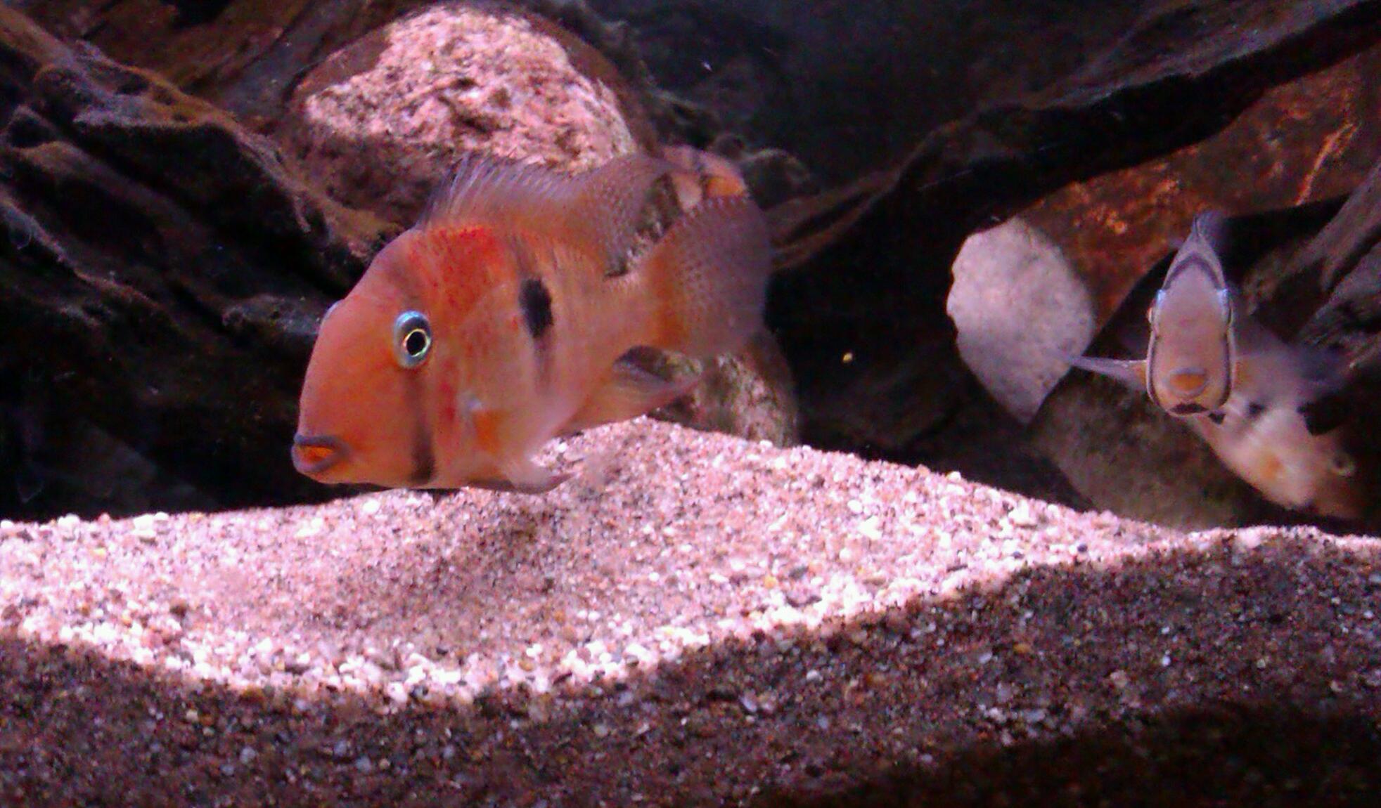 IMAG0829-1.jpg