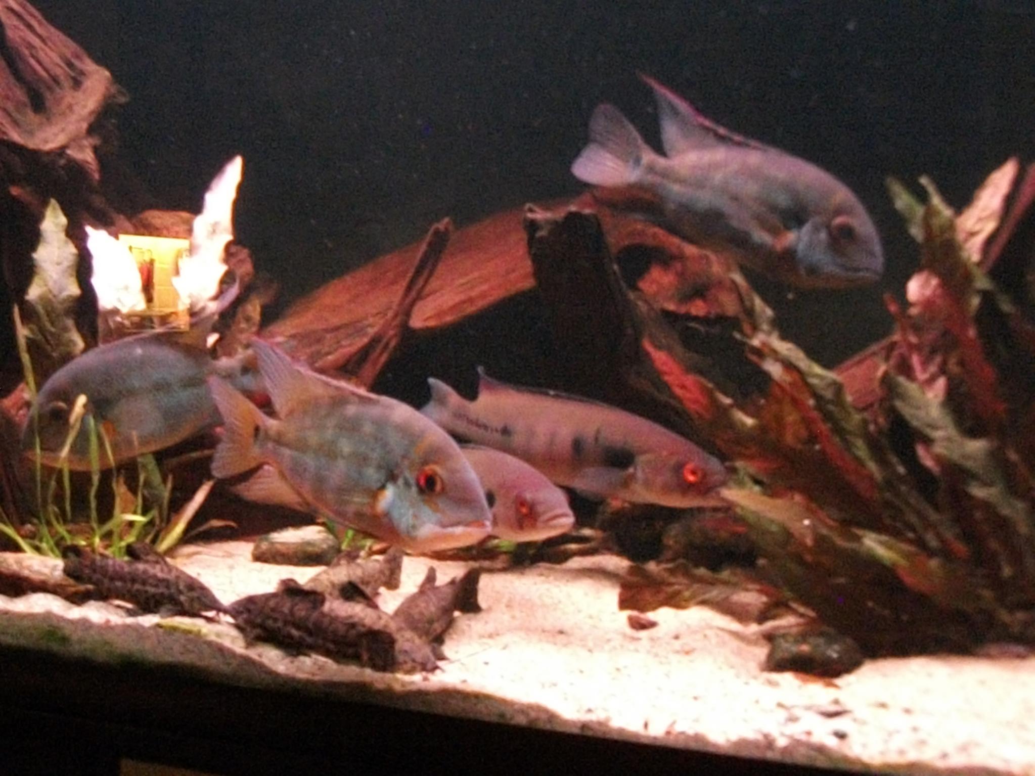 DSCF0910.jpg