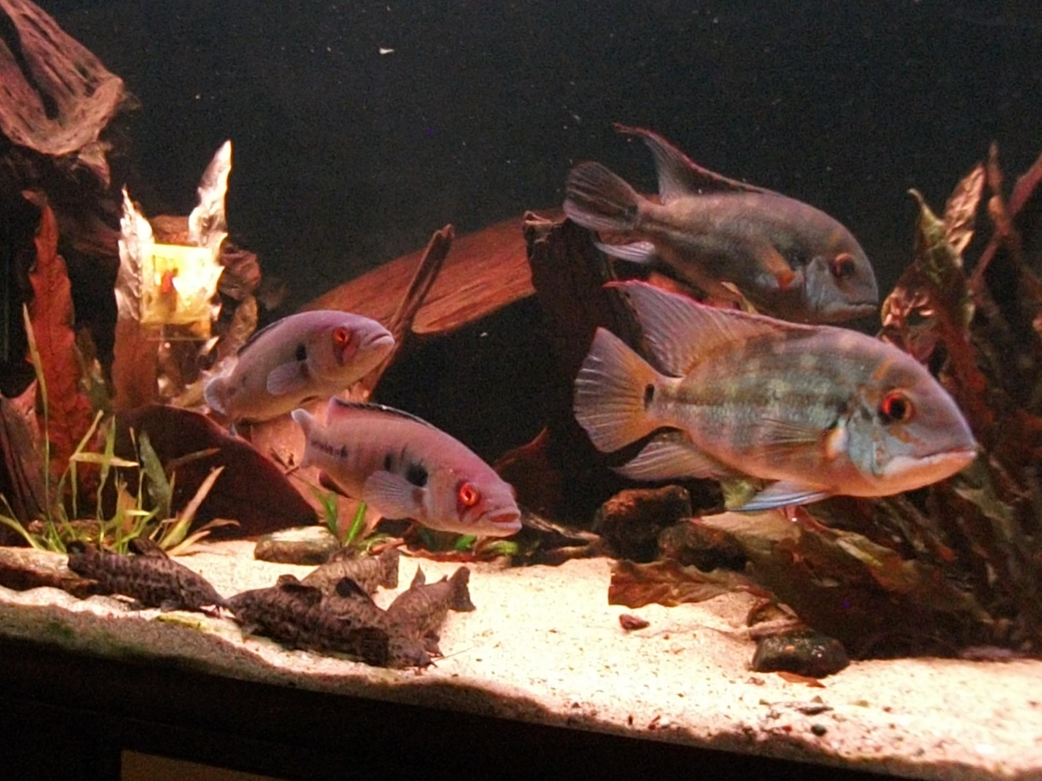 DSCF0911.jpg