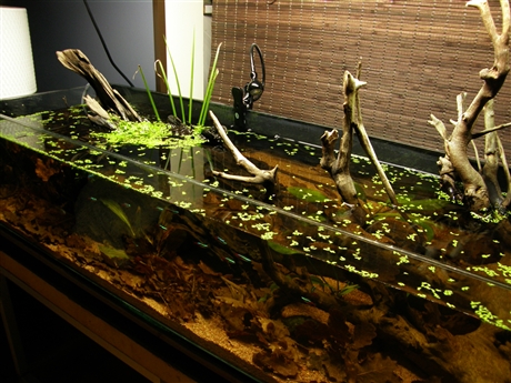 P2150100.JPG
