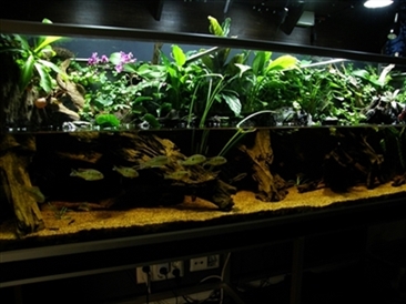 P2150080.JPG