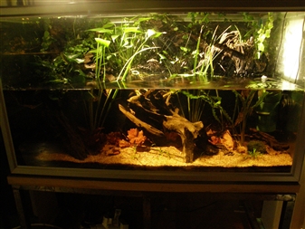 PC020250 &#8211; kopio.JPG