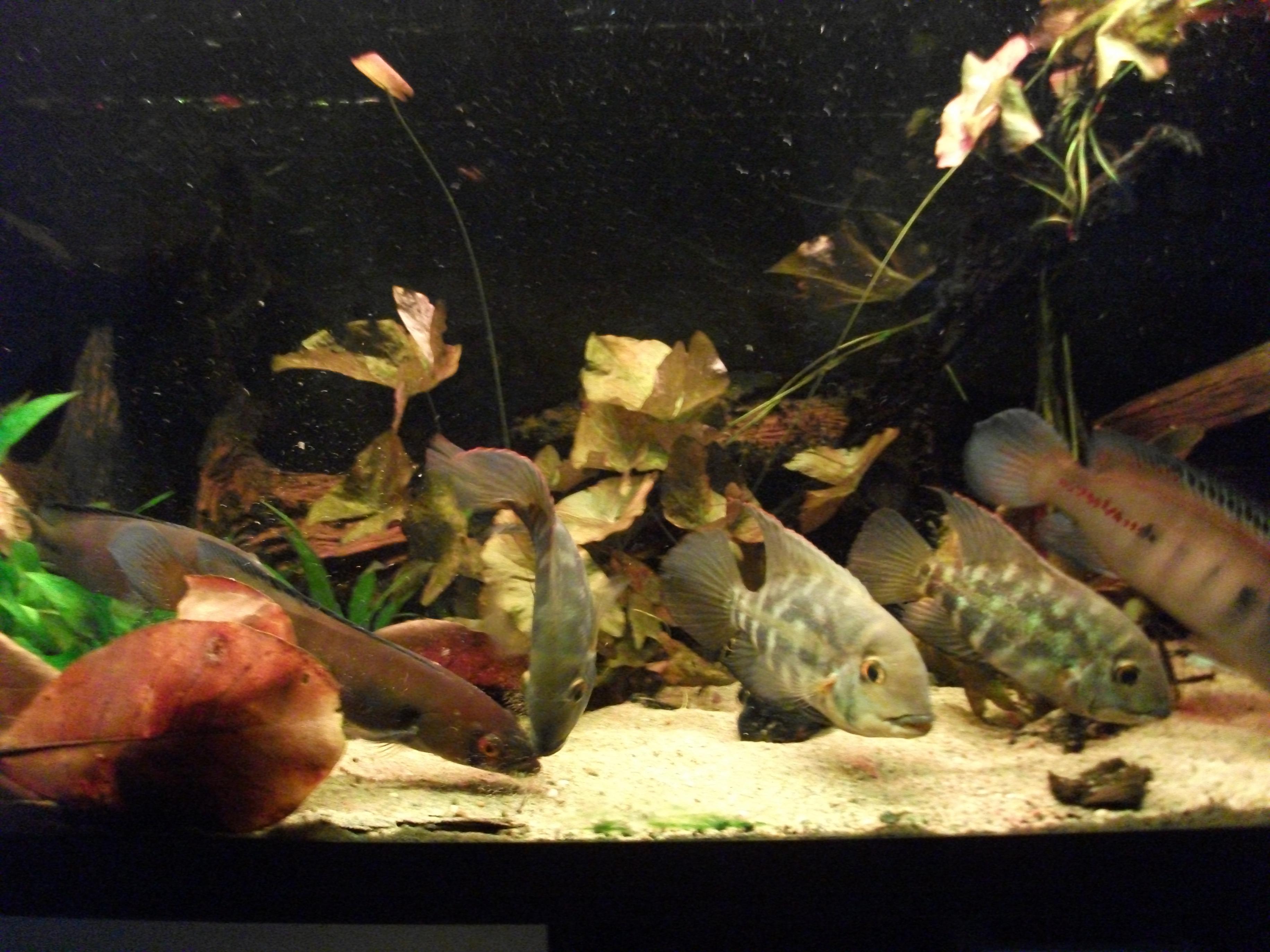 DSCF1327.jpg