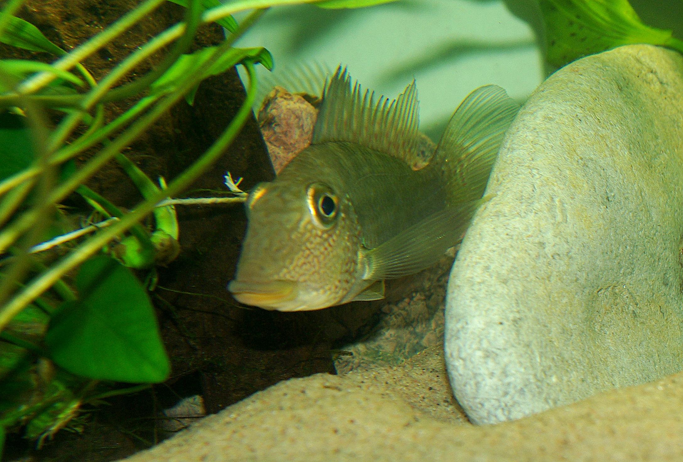 2014-09-15 18.17.43.jpg