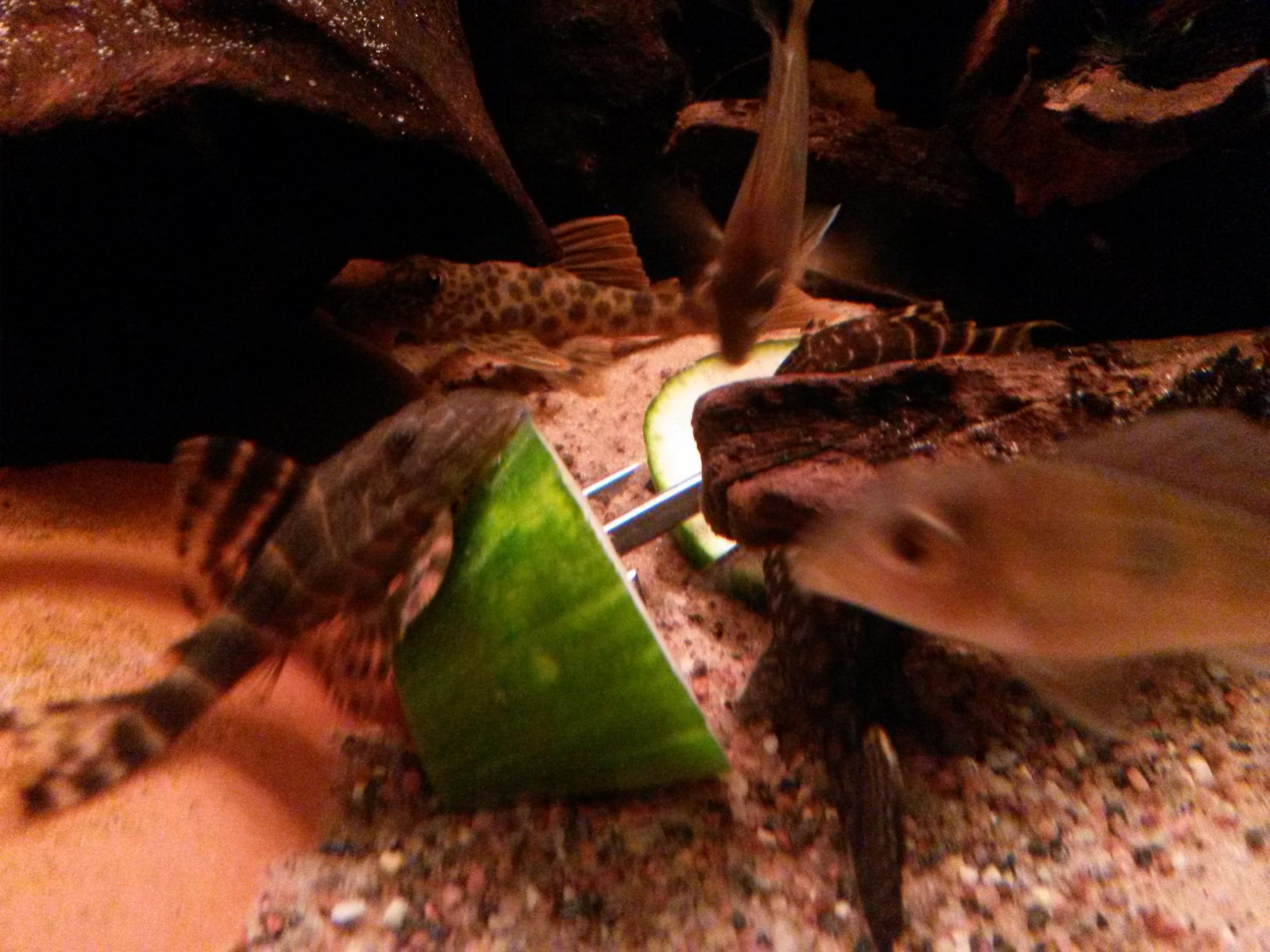 20150102_191711.jpg