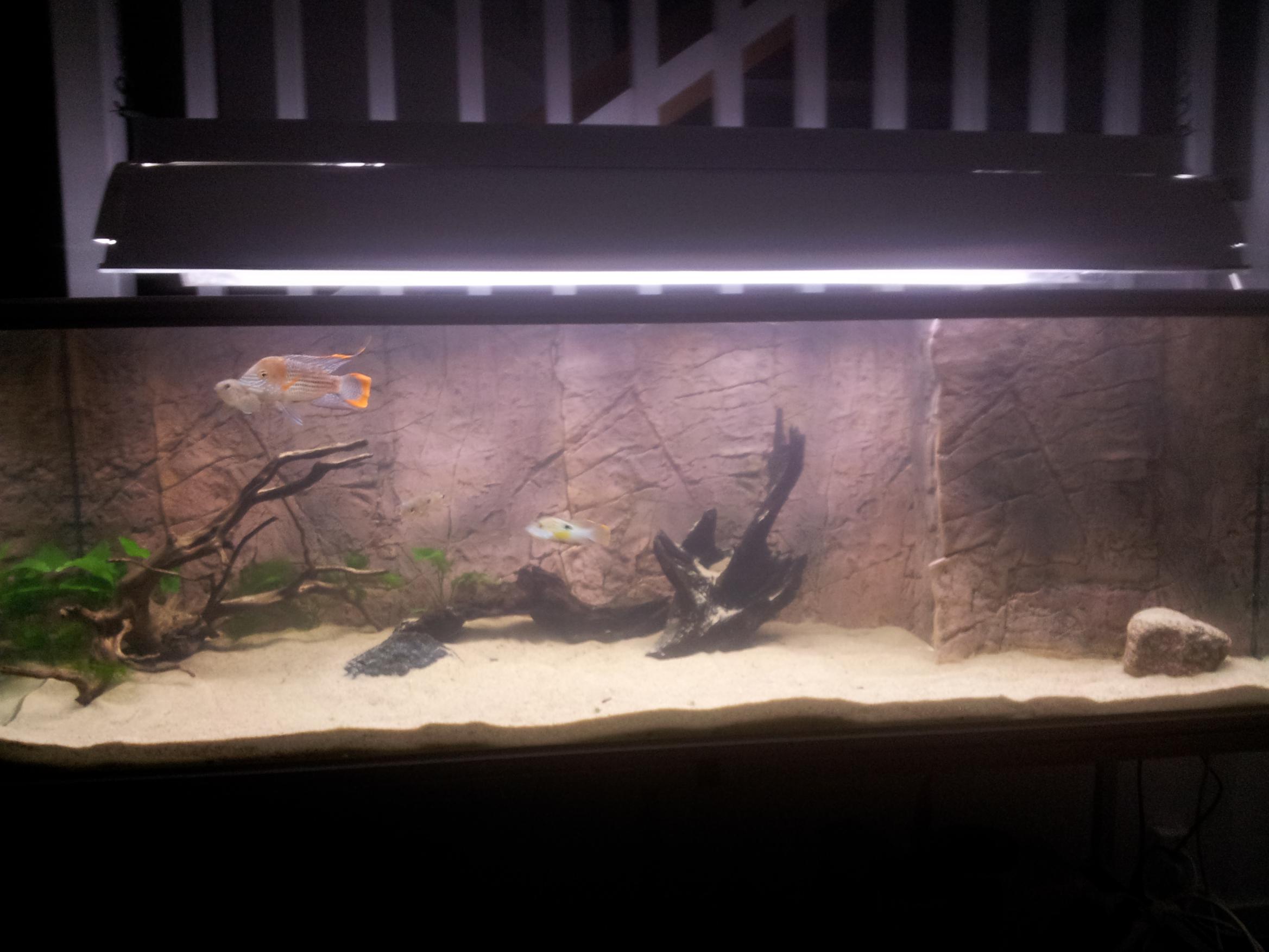 20150305_195916.jpg