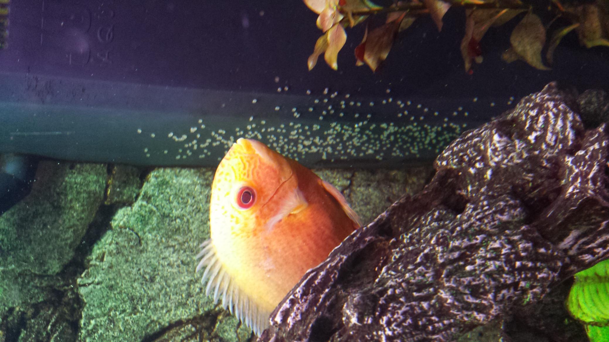 20150419_201408.jpg