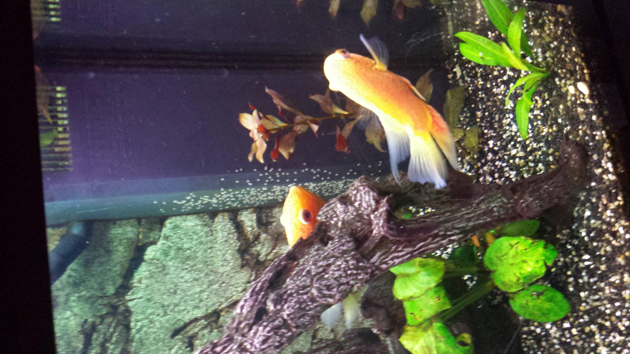 20150419_201426.jpg