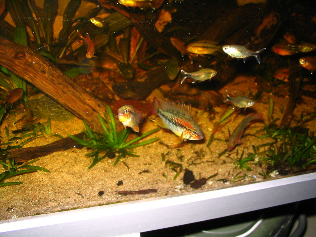 IMG_7685.JPG