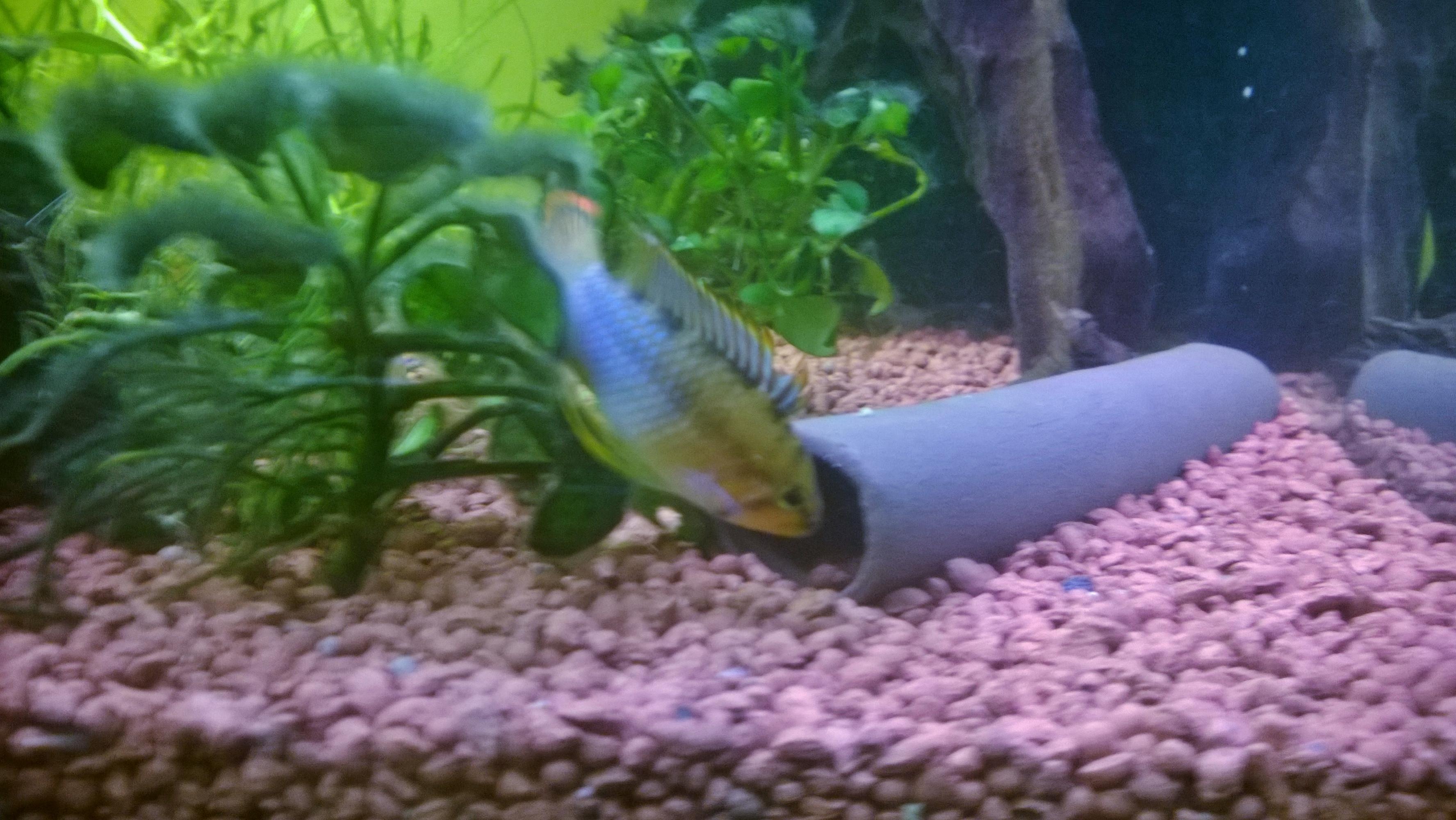 WP_20160202_031.jpg