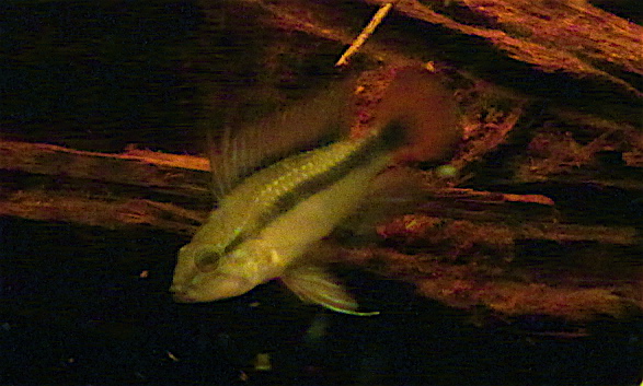 IMG_8289_2.JPG