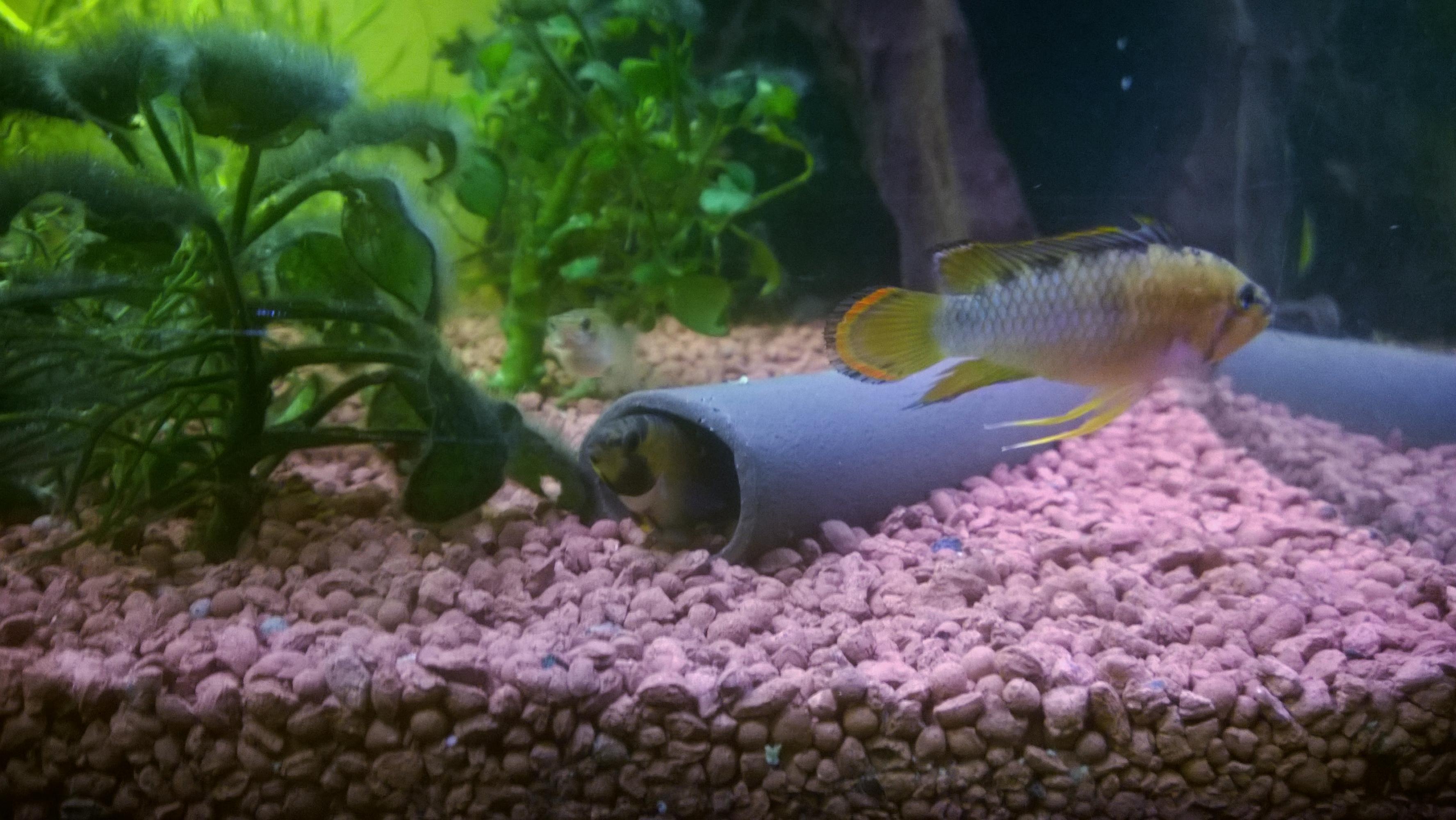 WP_20160202_034.jpg