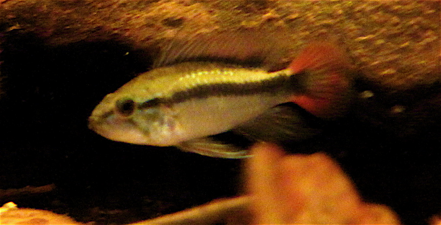 IMG_8277_2.JPG
