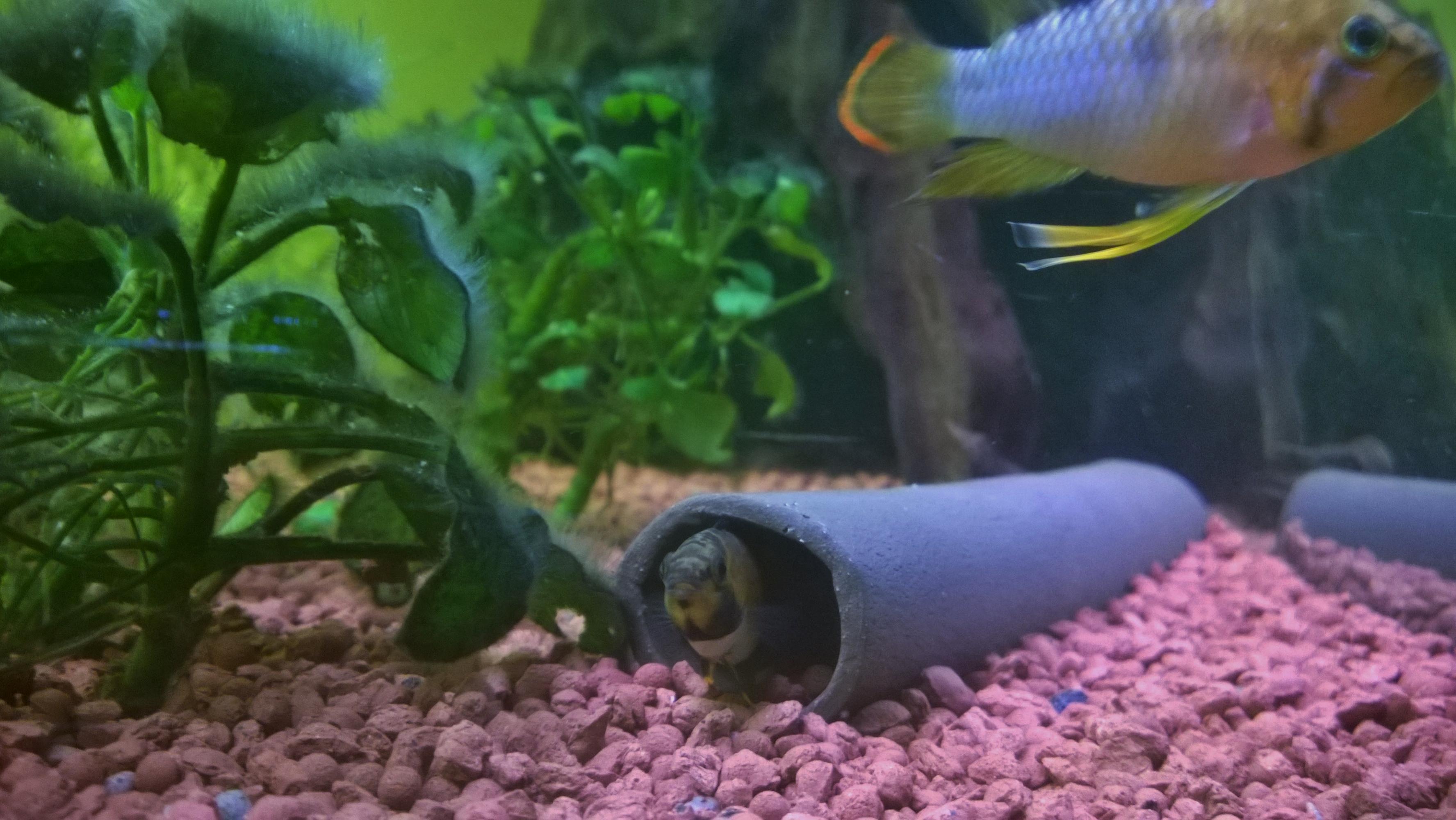 WP_20160202_020.jpg