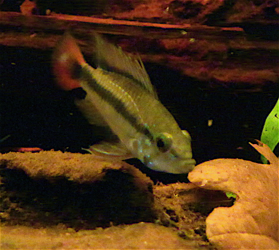 IMG_8291_2.JPG