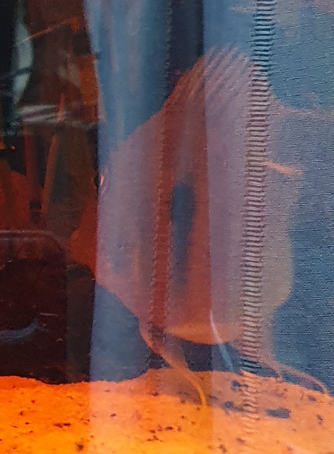 20250619_190040.jpg