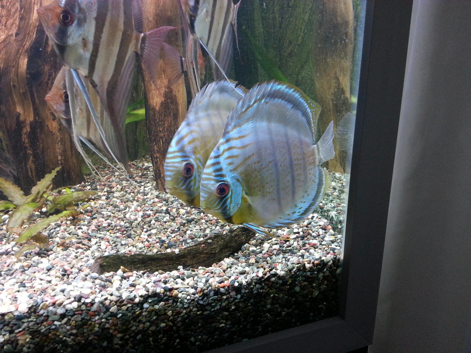 20130222_172316.jpg