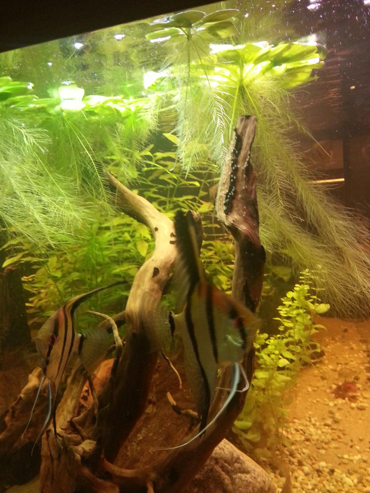 20130822_170029.jpg