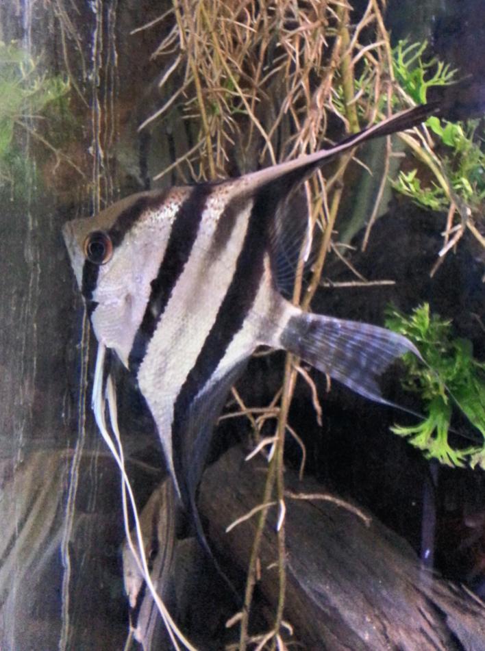 2013-02-25 09.20.43.jpg