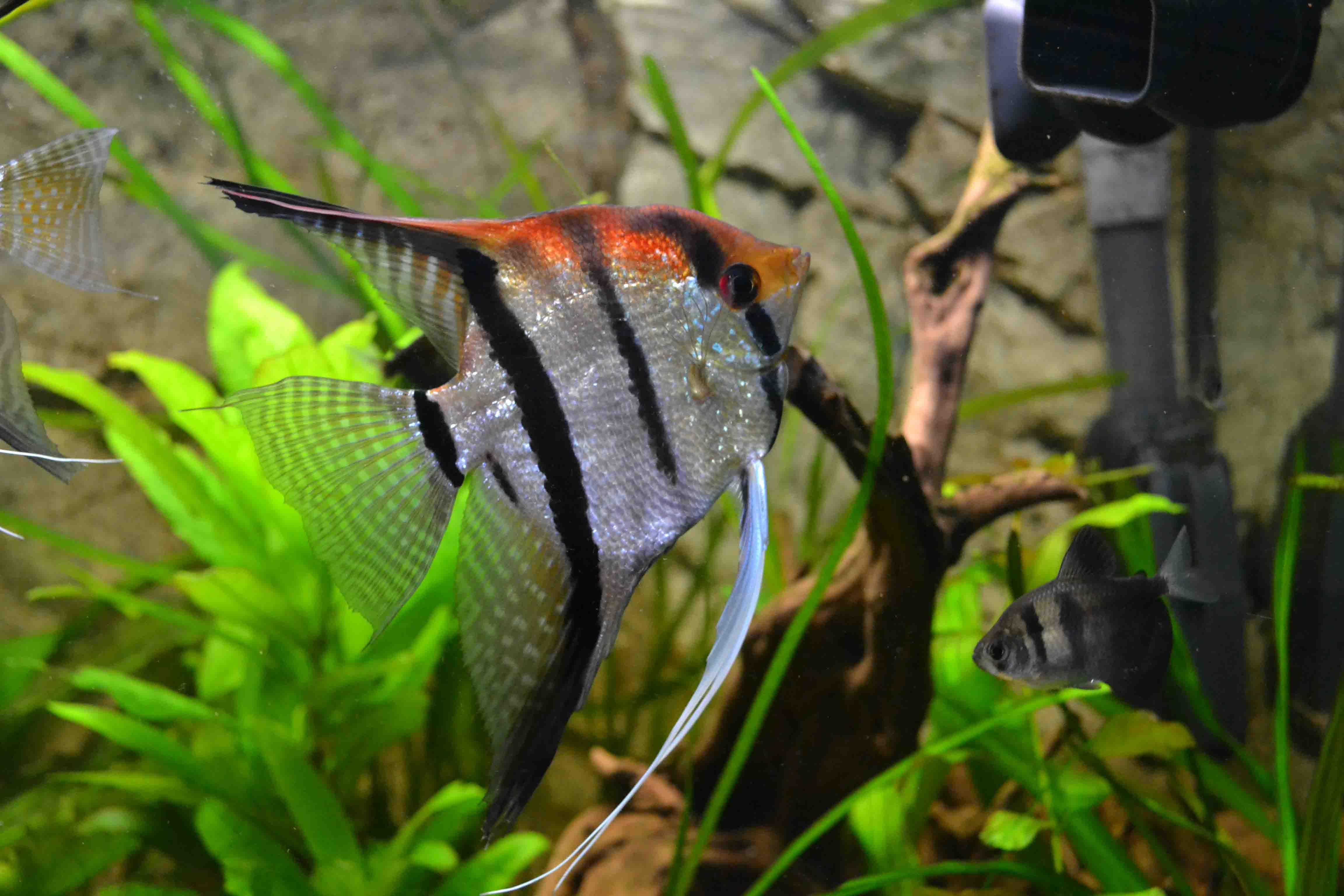 DSC_0507.jpg