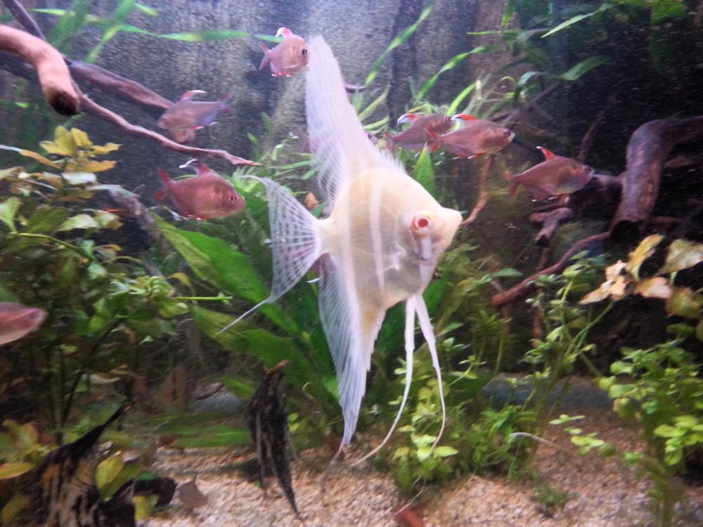 2013-12-12 09.33.23.jpg
