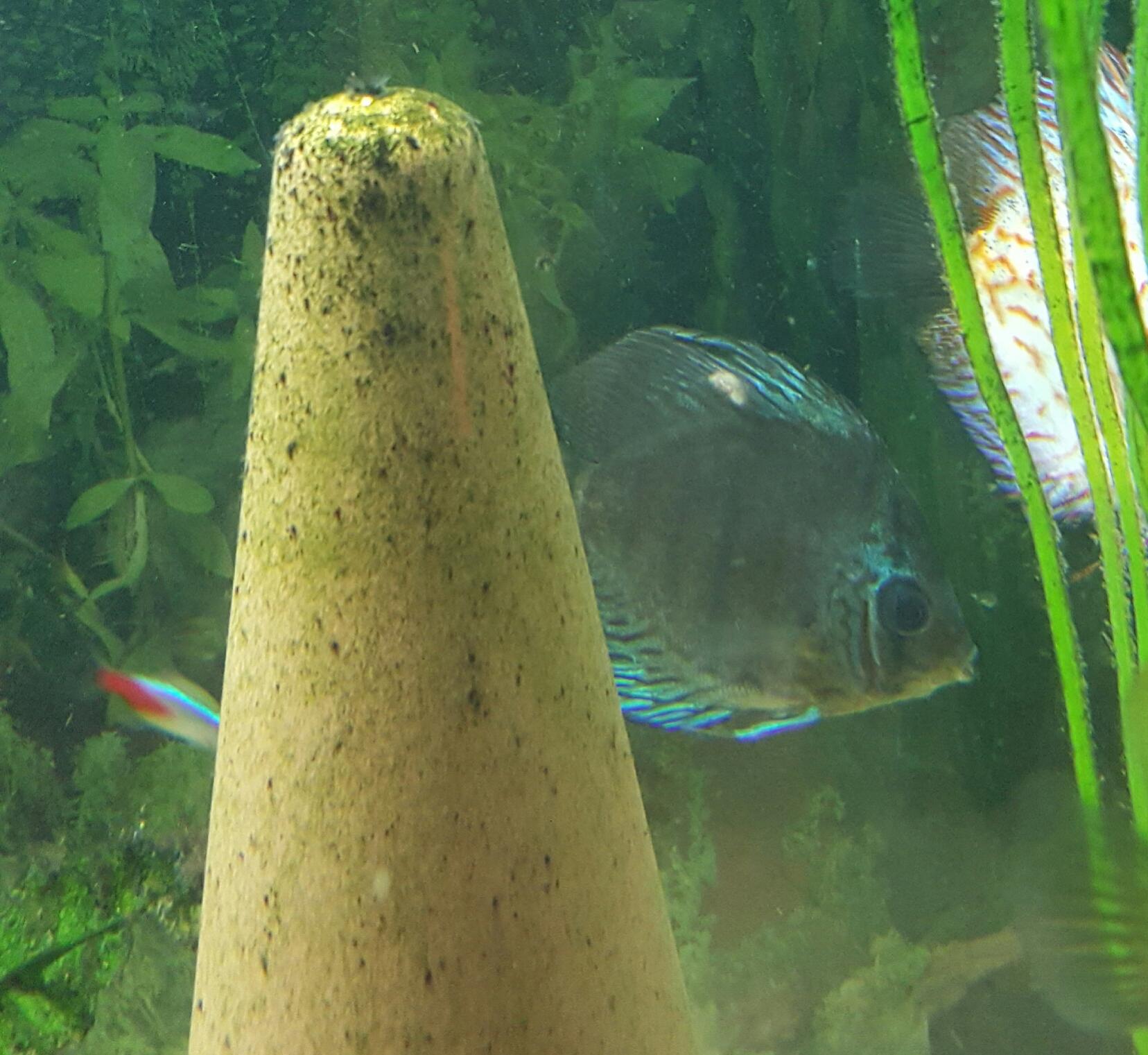 20170110_144911.jpg