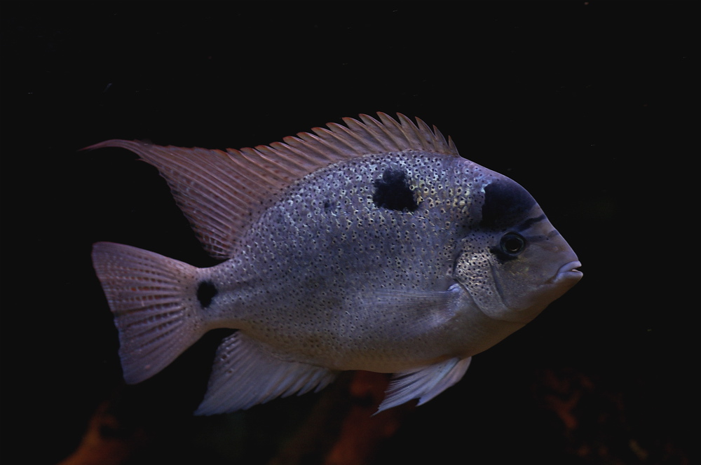 20120809_212444.jpg