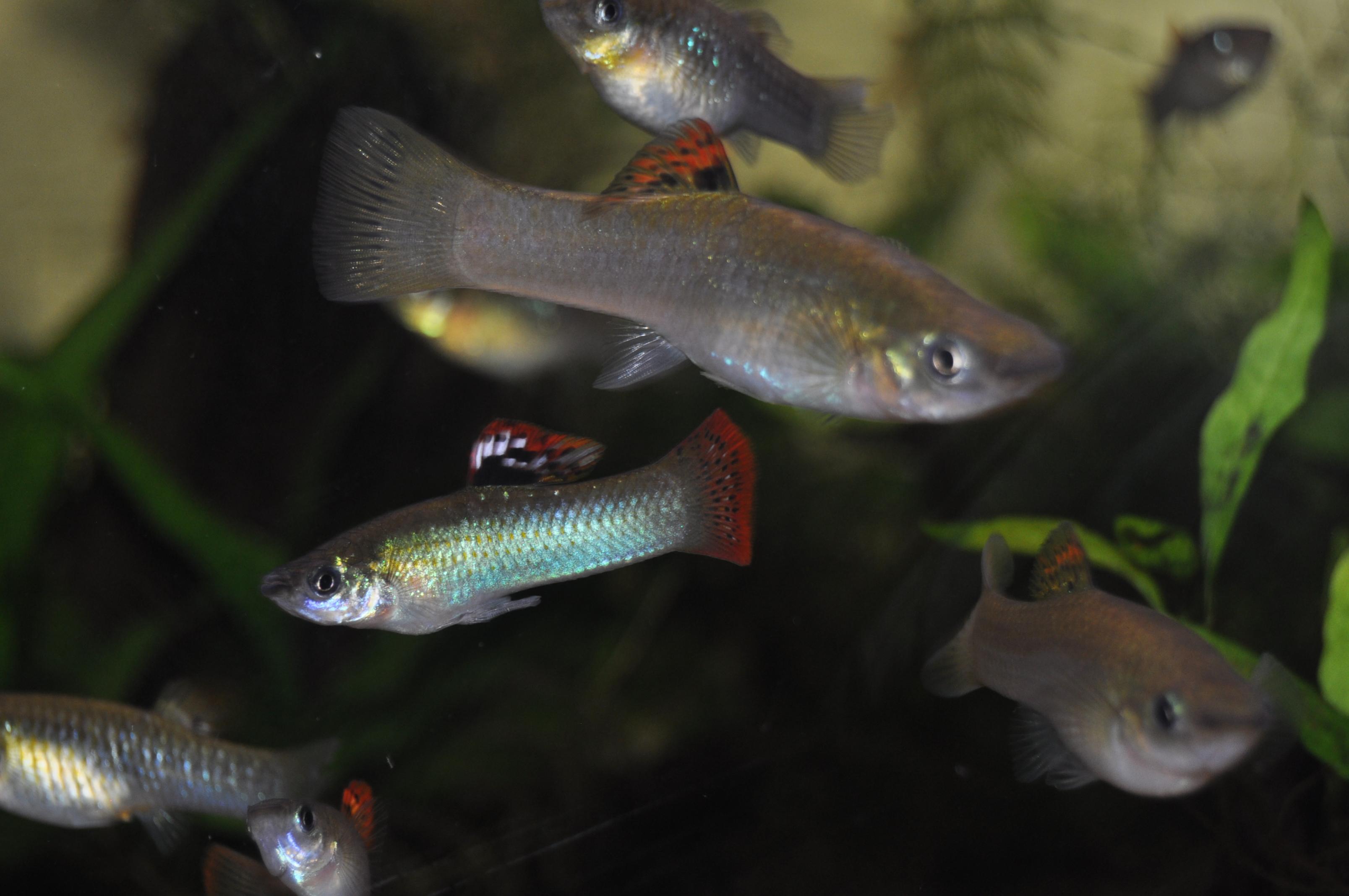 DSC_6839.jpg