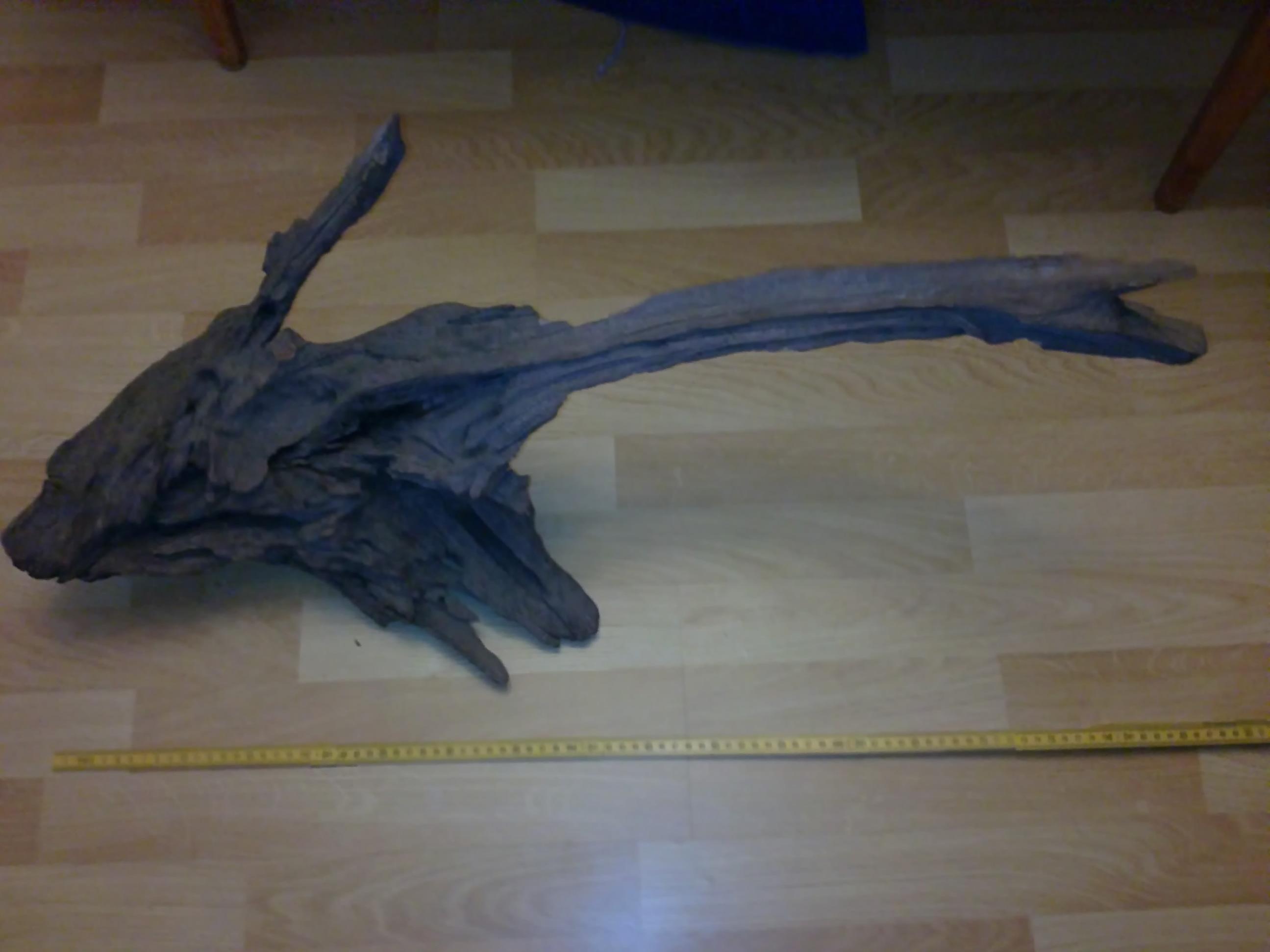 20150504120.jpg