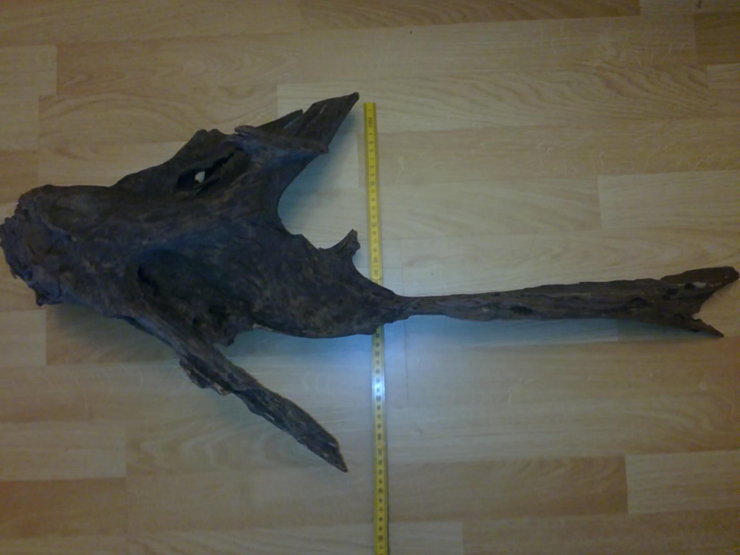 20150504119.jpg