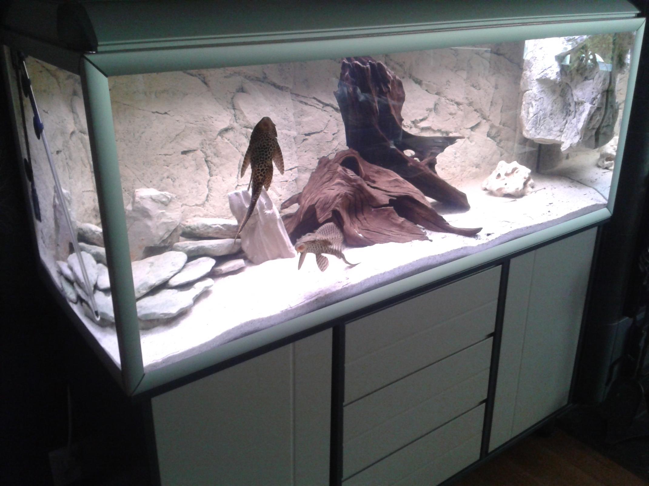 20150926_170559.jpg