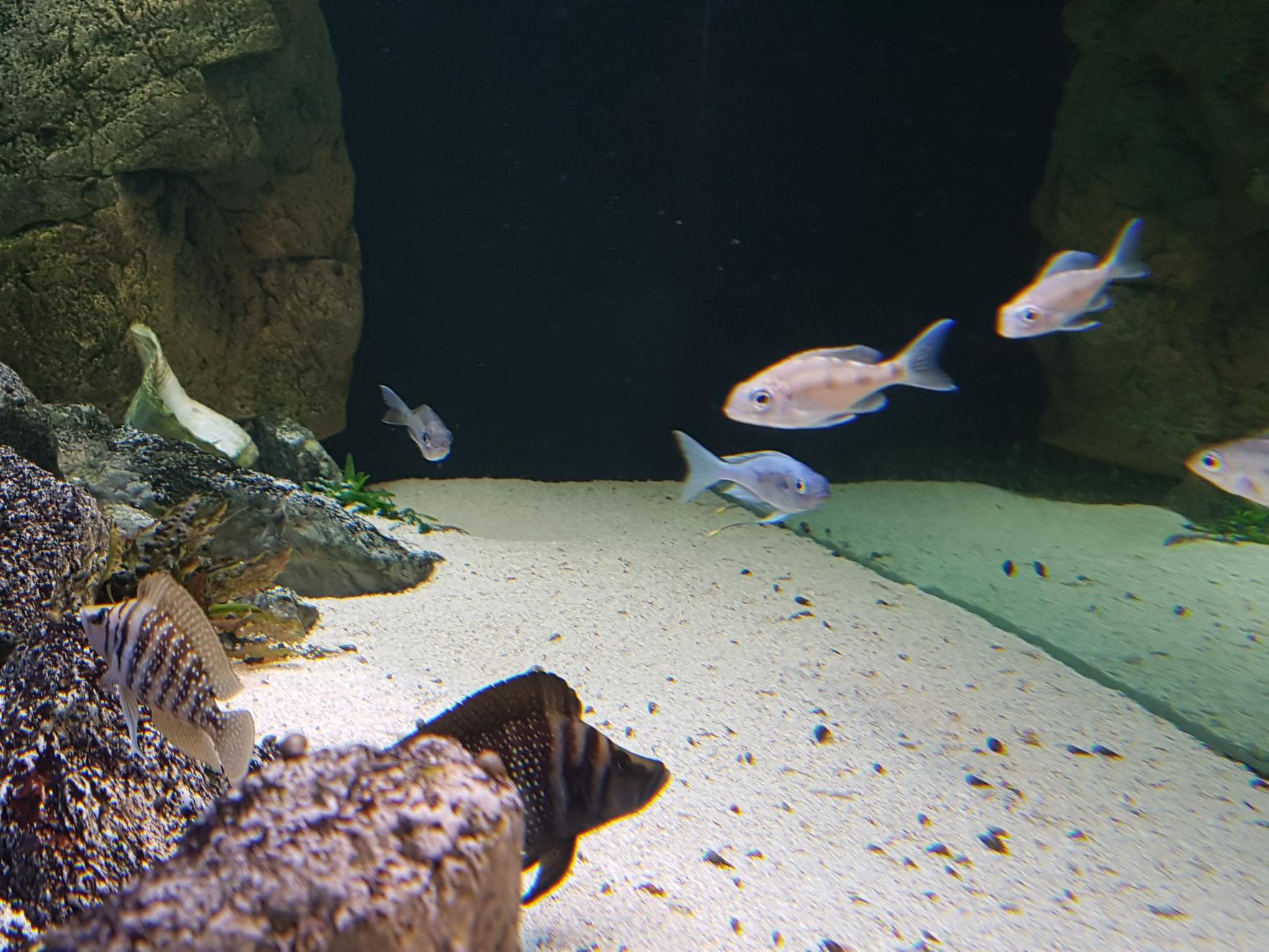 20170412_150026.jpg