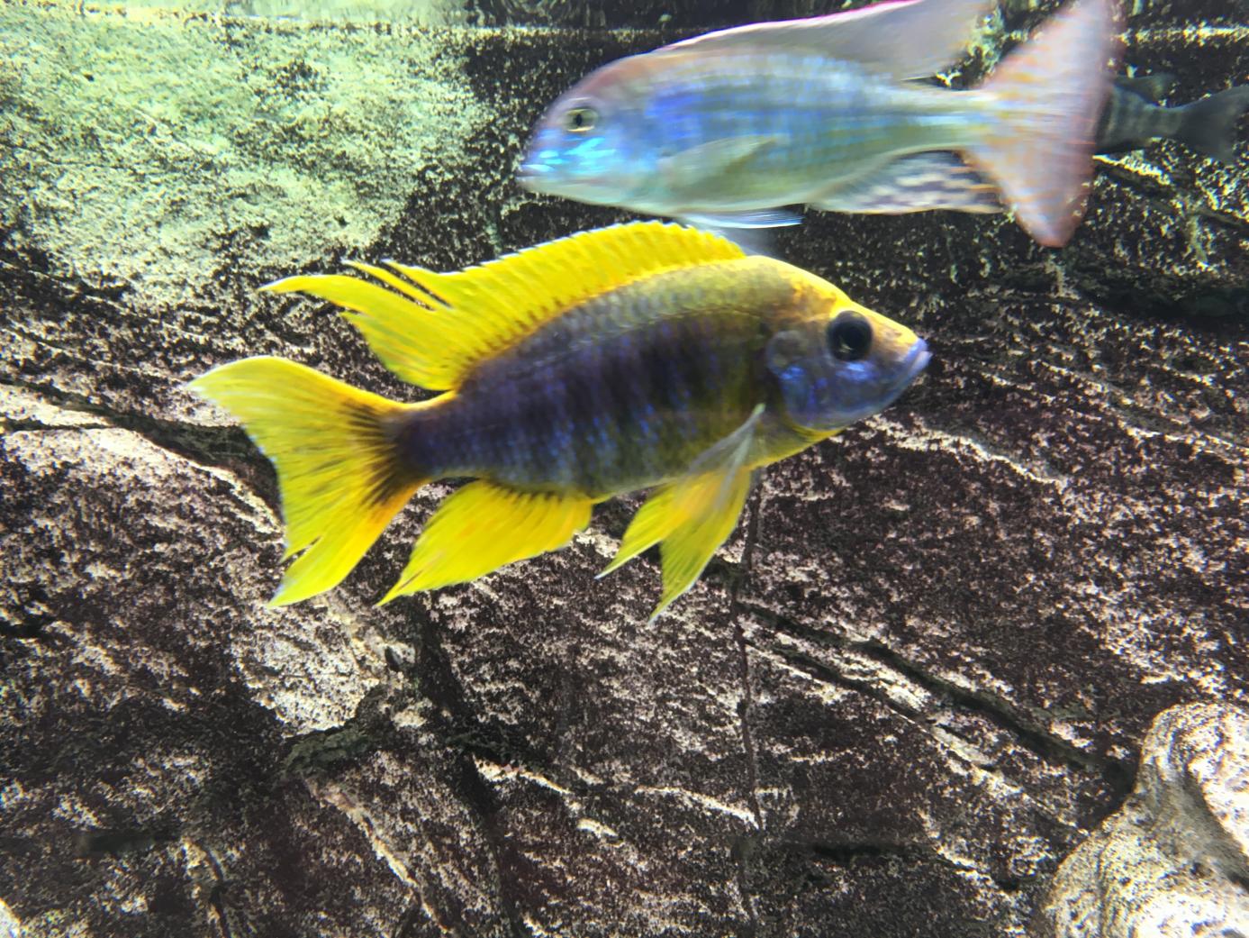 IMG_1622.jpg