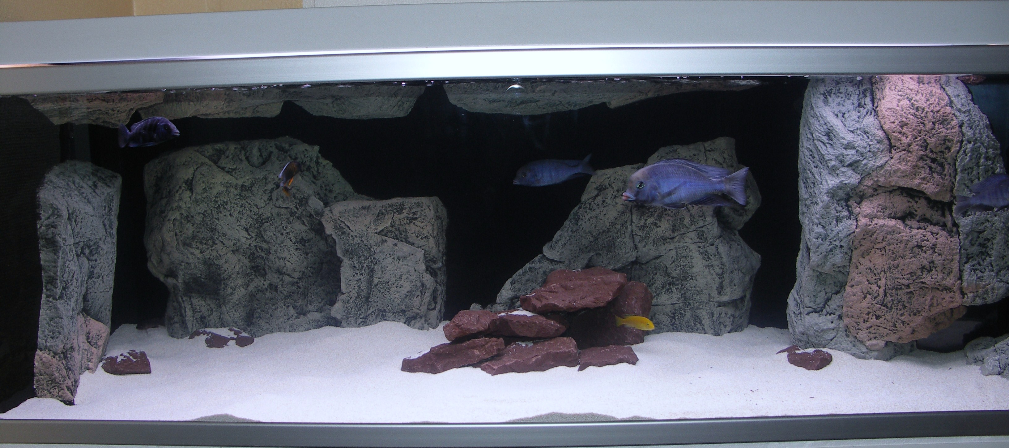 450 L.JPG