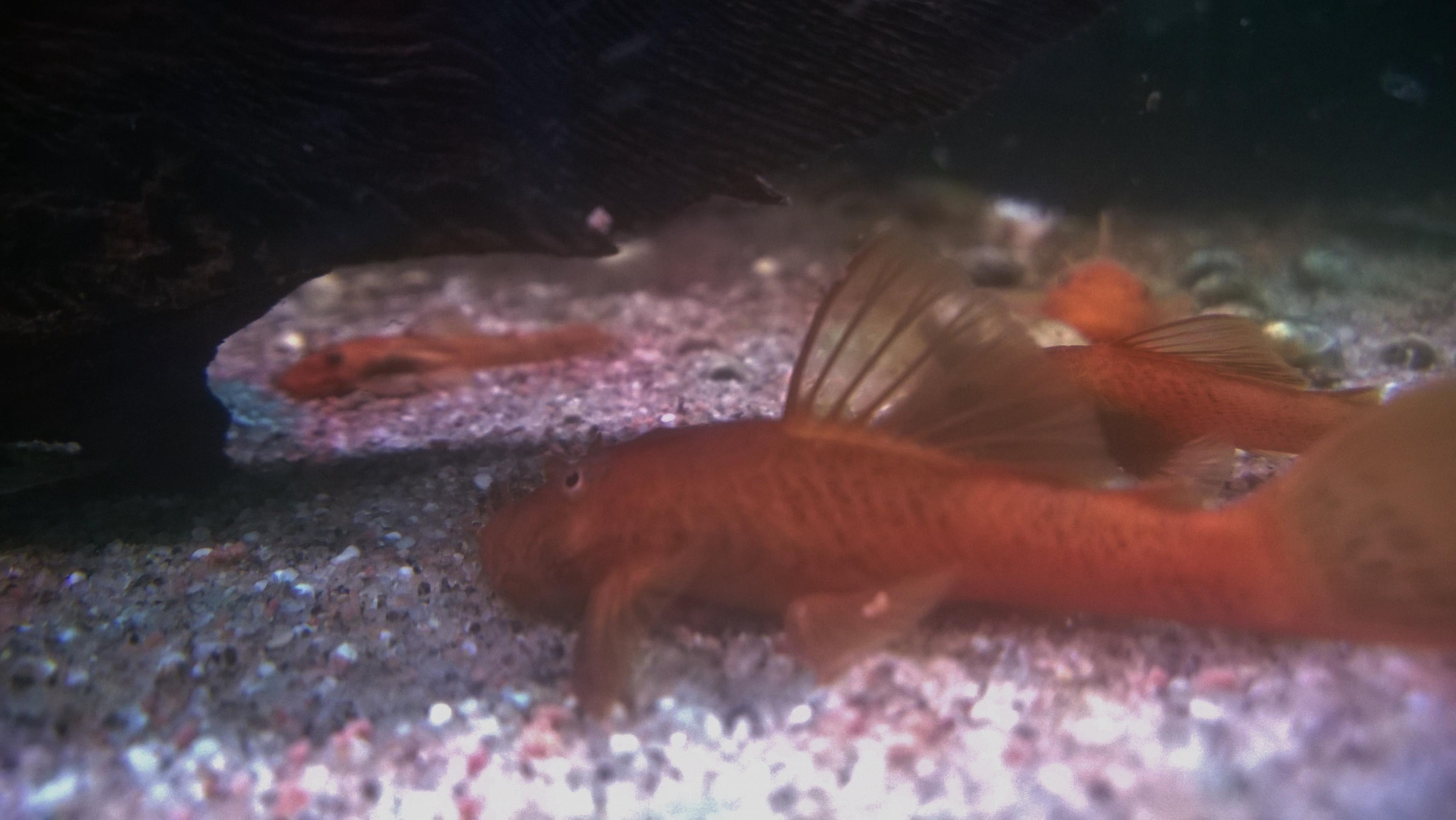 WP_20150927_008.jpg