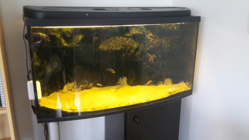 akvarium.jpg