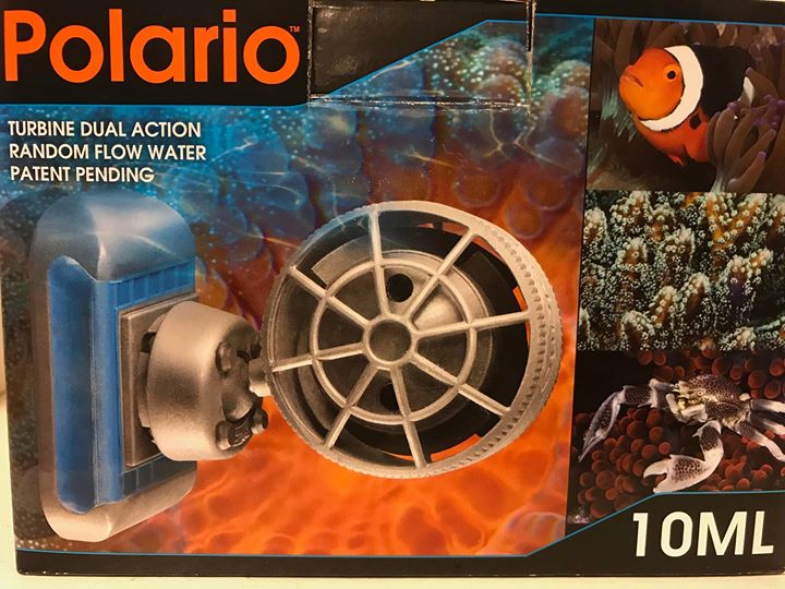 polario3.jpg