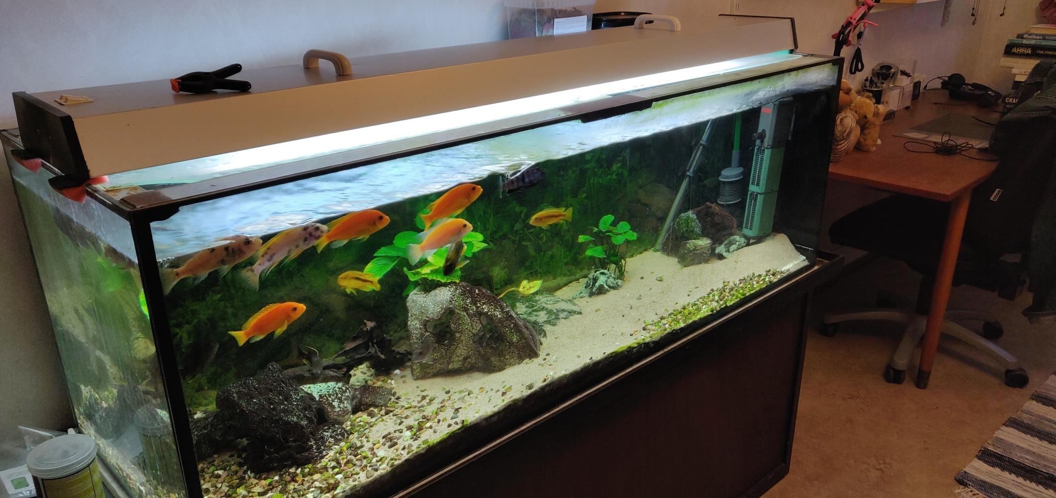 Akvarium1.jpg