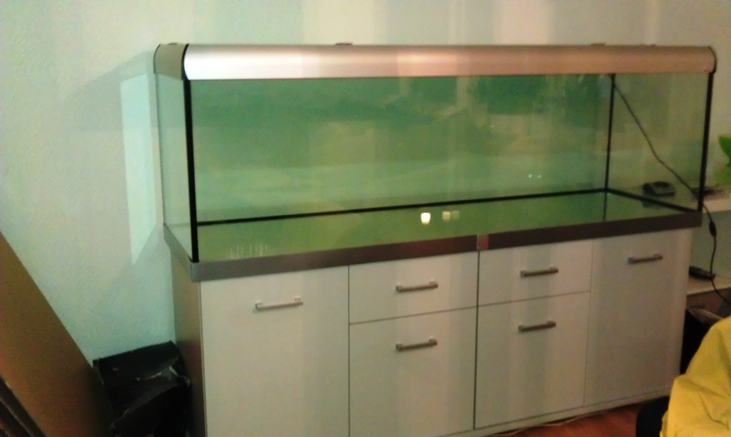 IMAG0036.jpg
