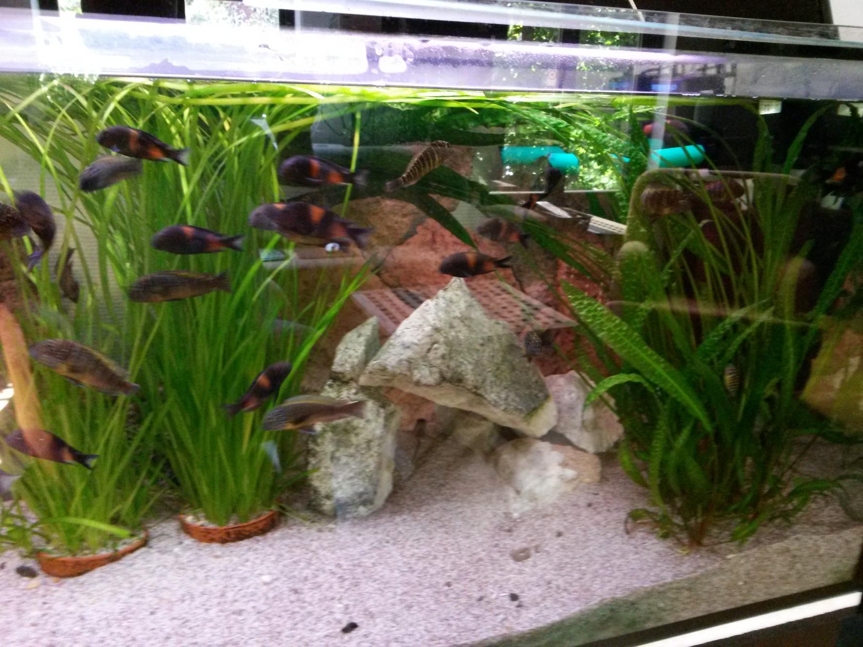 20140822_123709.jpg