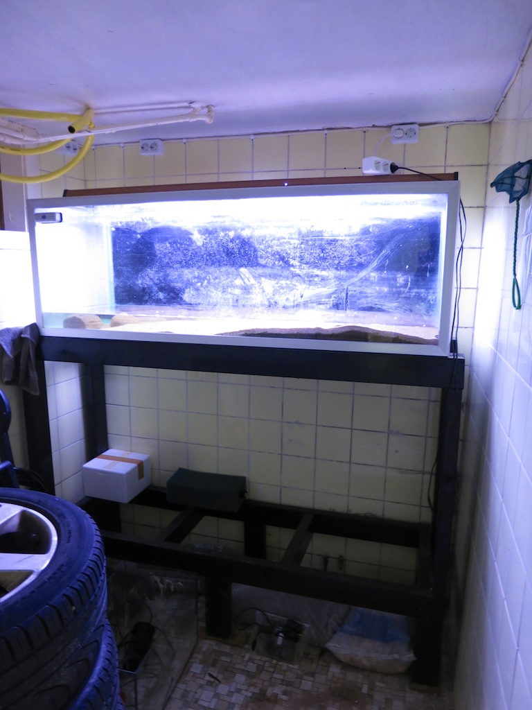 Akvarium.jpg