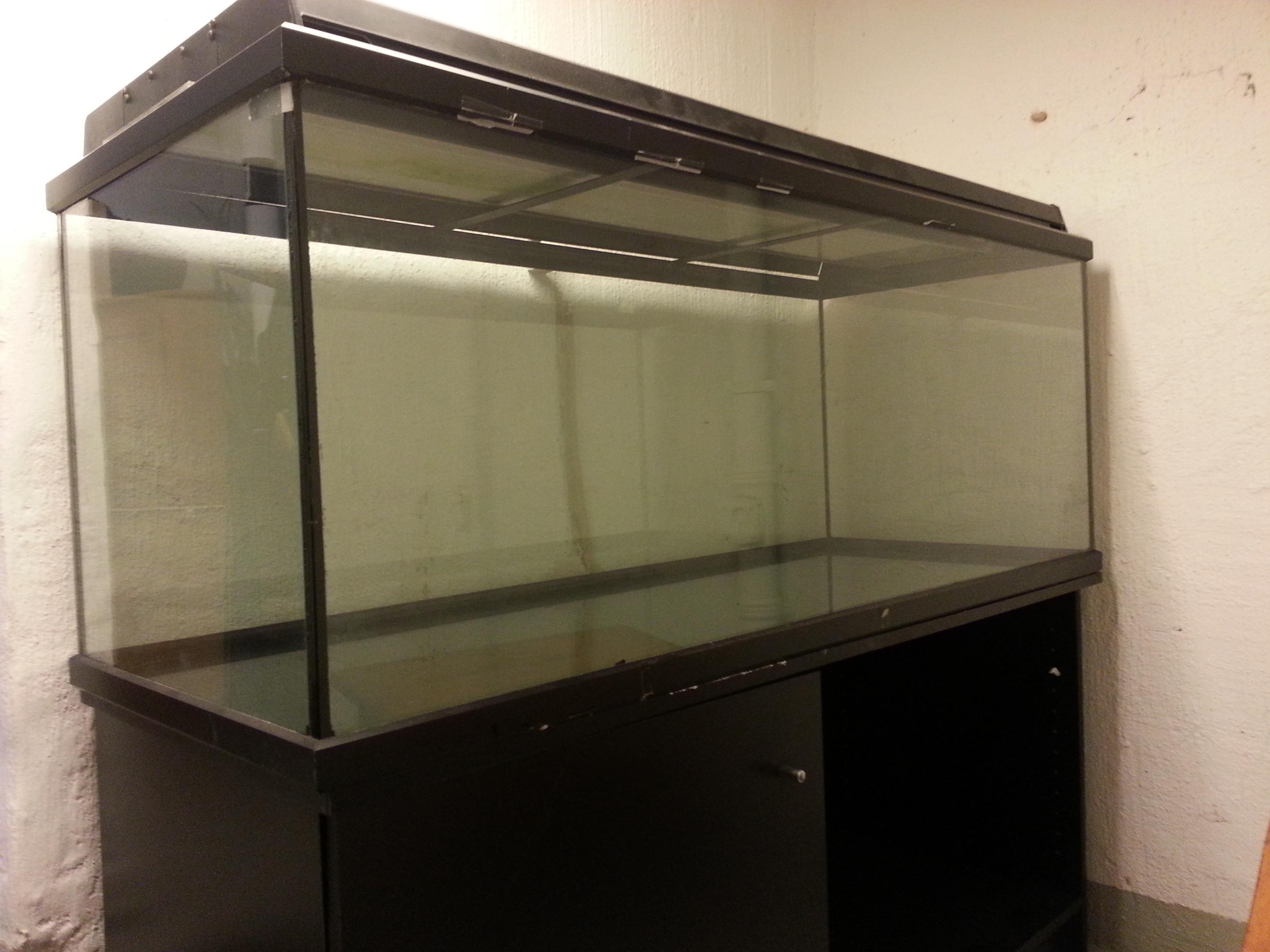 20130429_123224.jpg