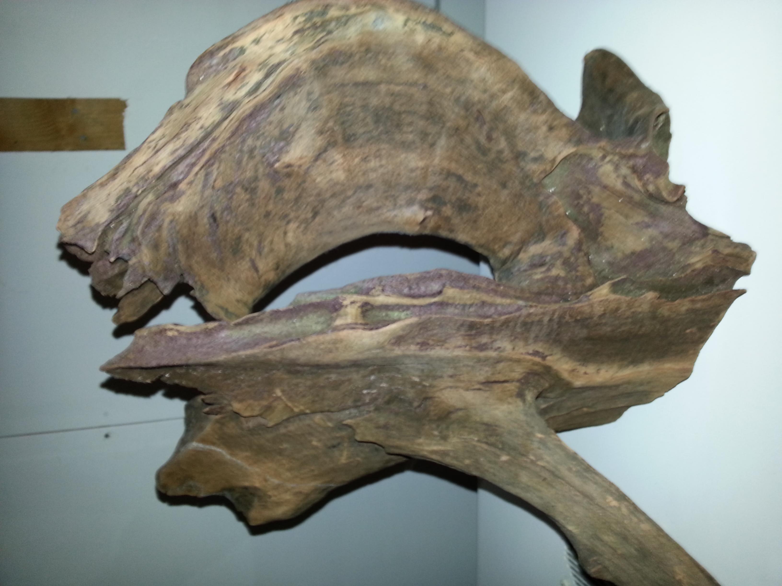 20130904_140652.jpg